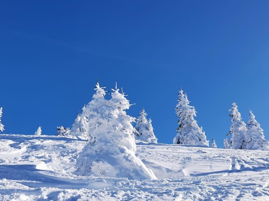 La Tour En Belledonne Βίλα Theys Εξωτερικό φωτογραφία
