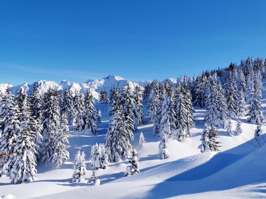 La Tour En Belledonne Βίλα Theys Εξωτερικό φωτογραφία